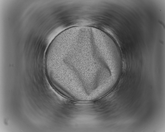 X0000102351487200808221642