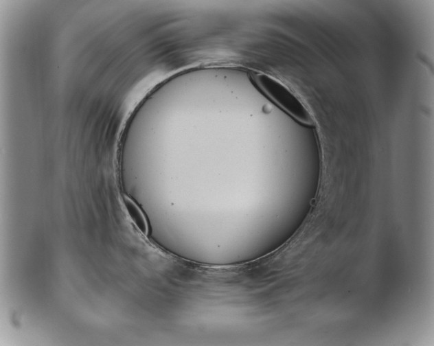 X0000102351488200808221642