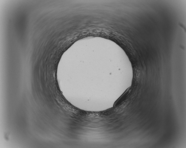 X0000102351489200808221641