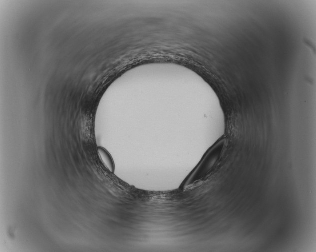 X0000102351490200808221641