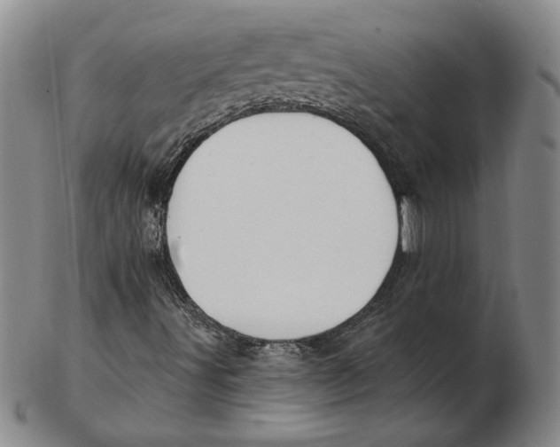 X0000102351491200808221642