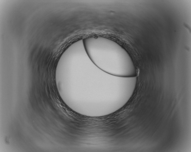 X0000102351492200808221642