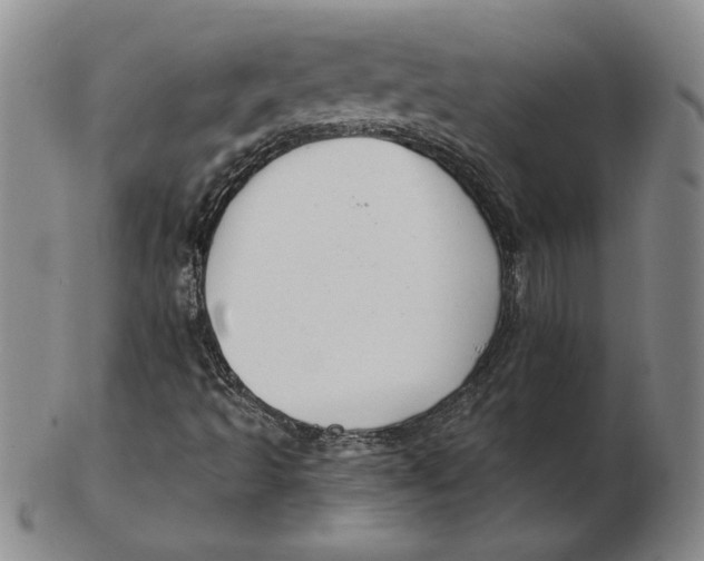 X0000102351493200808221642