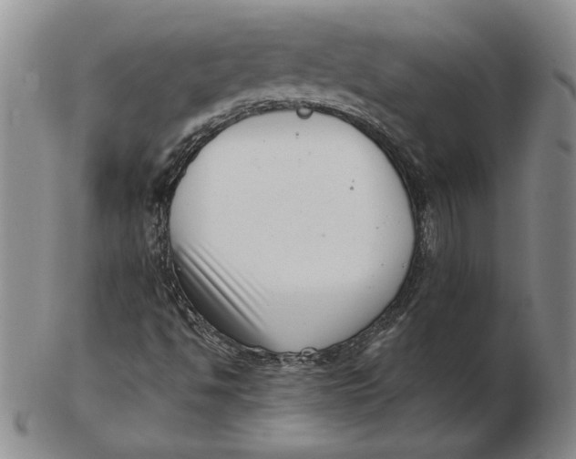 X0000102351494200808221642