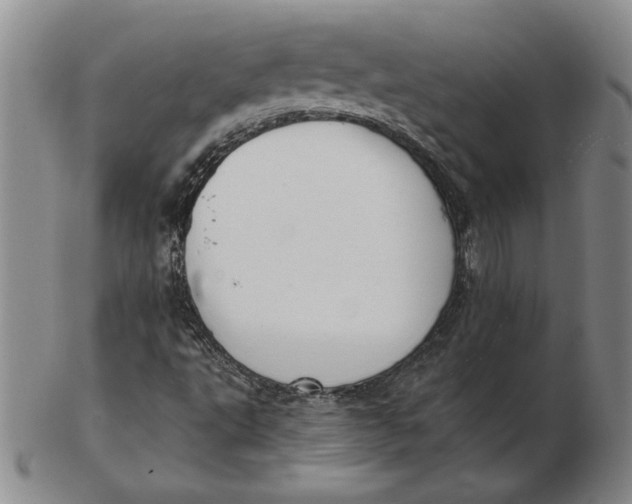 X0000102351495200808221642