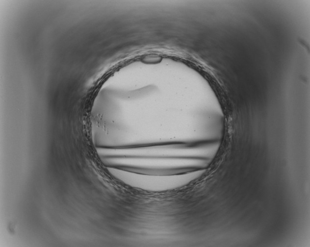 X0000102351496200808221642