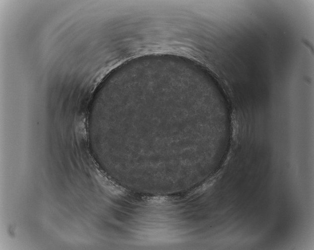 X0000102351497200808221642