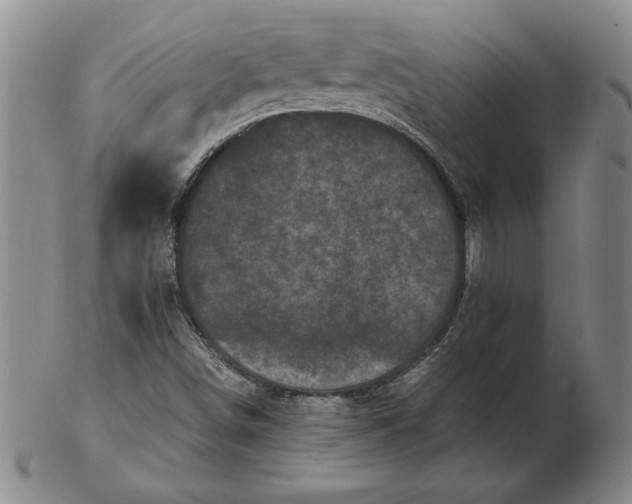 X0000102351498200808221642