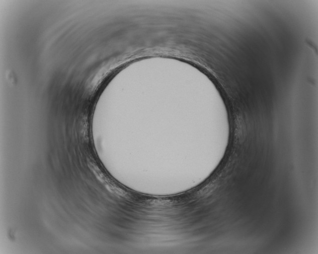 X0000102351499200808221642