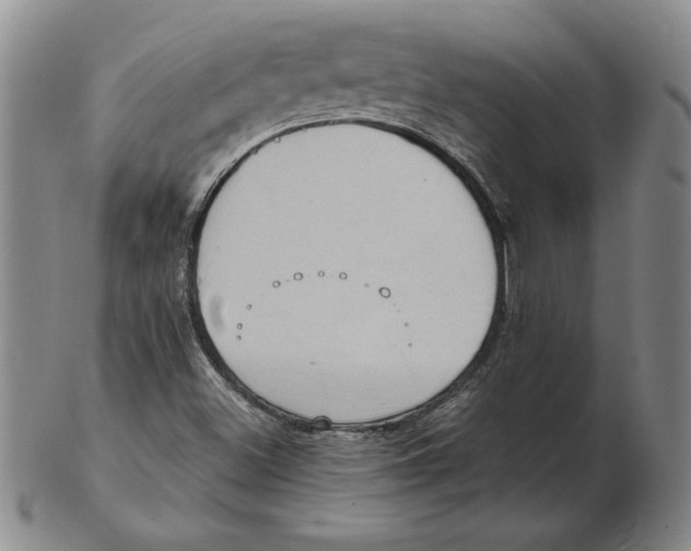 X0000102351500200808221642