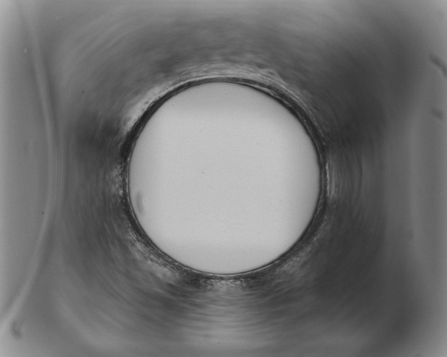 X0000102351501200808221642