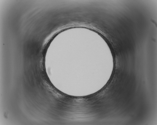 X0000102351502200808221642