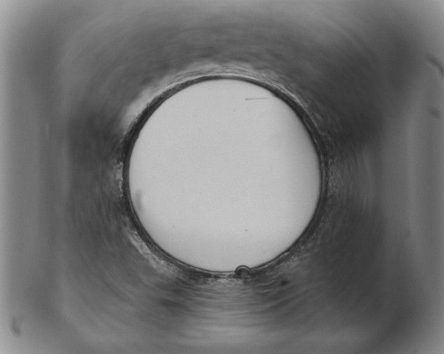 X0000102351503200808221642