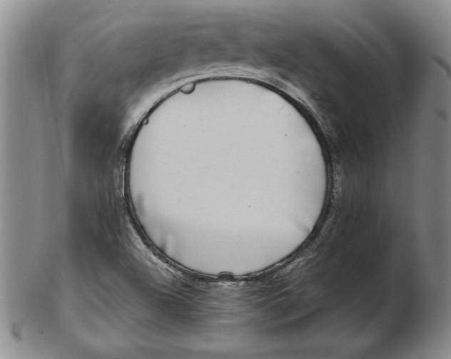 X0000102351504200808221642