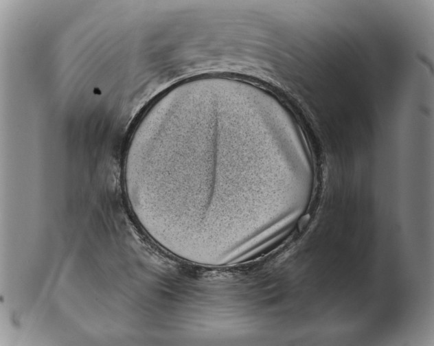 X0000102351505200808221642