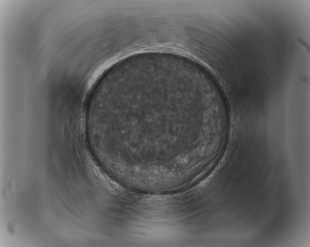 X0000102351506200808221642