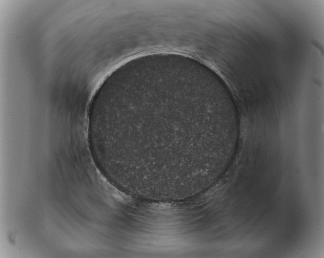 X0000102351508200808221642