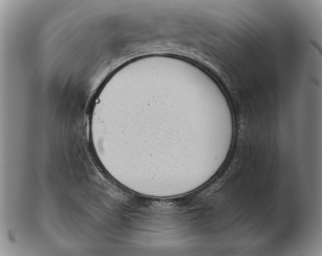 X0000102351509200808221642