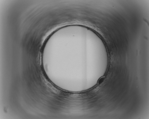 X0000102351510200808221642