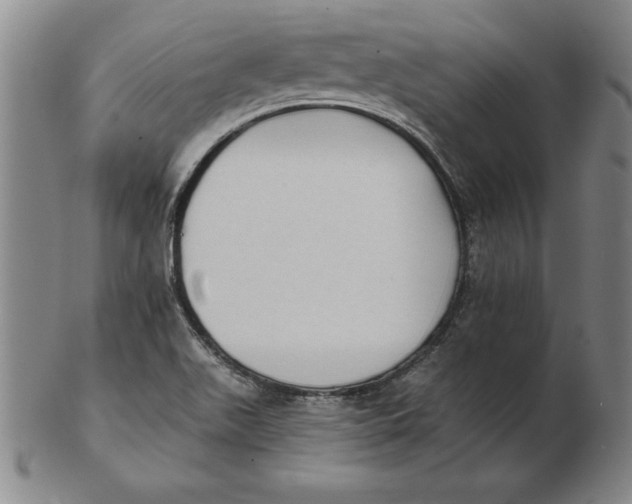 X0000102351511200808221642