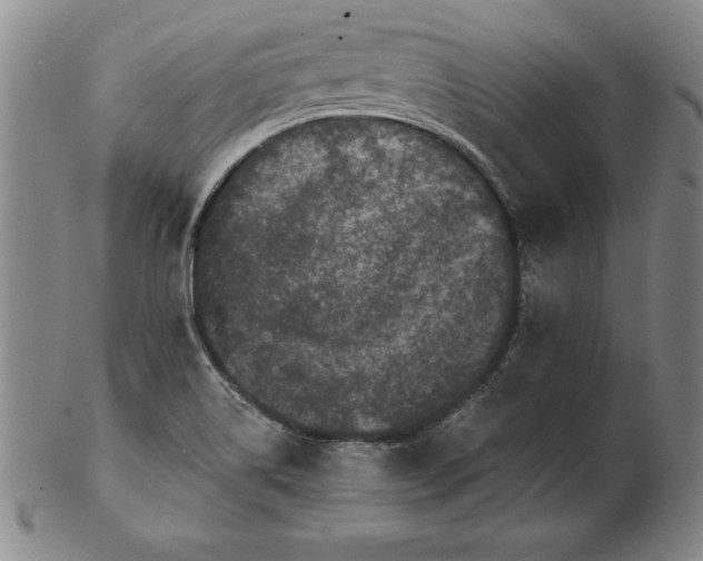 X0000102351514200808221642