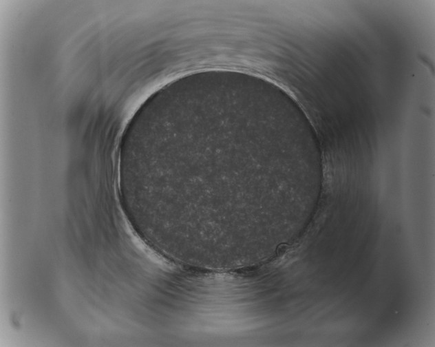 X0000102351515200808221642