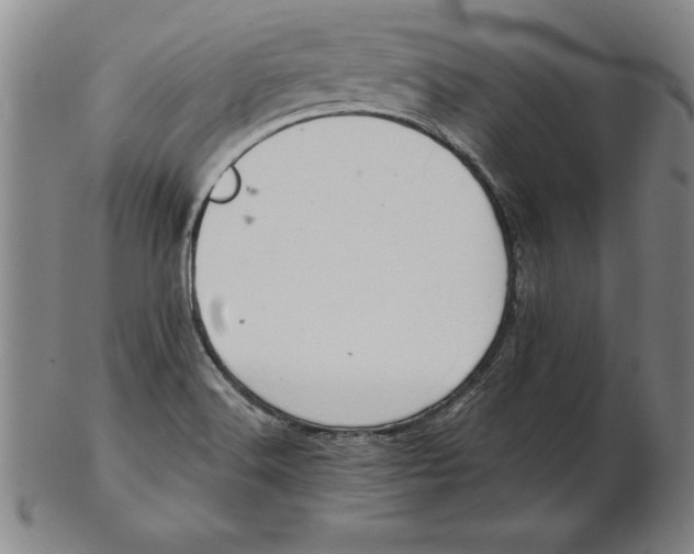 X0000102351516200808221642