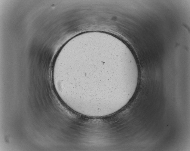 X0000102351517200808221642