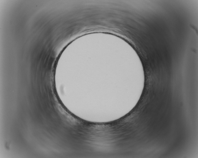 X0000102351518200808221642