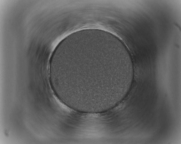 X0000102351519200808221642