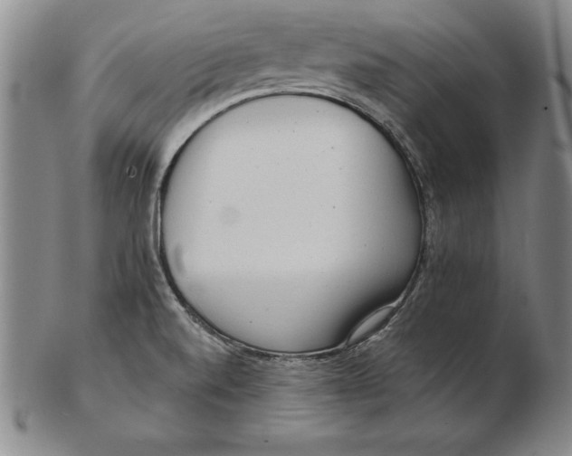 X0000102351520200808221642