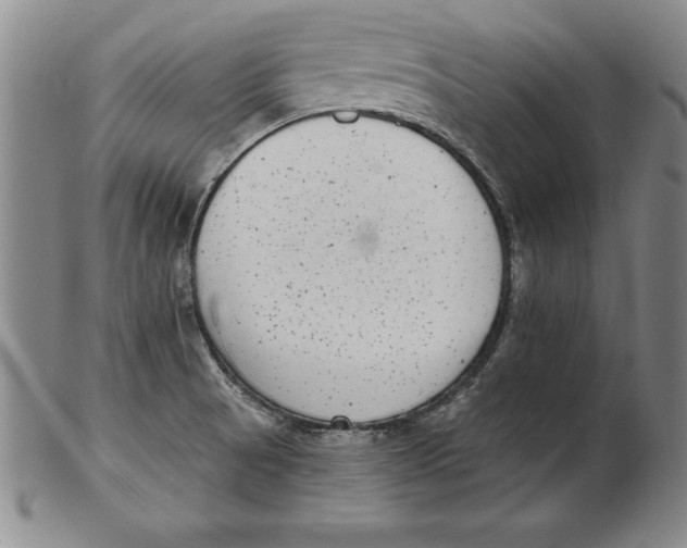 X0000102351521200808221642