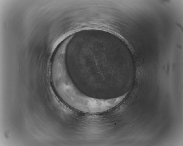 X0000102351522200808221642