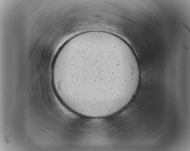 X0000102351523200808221642