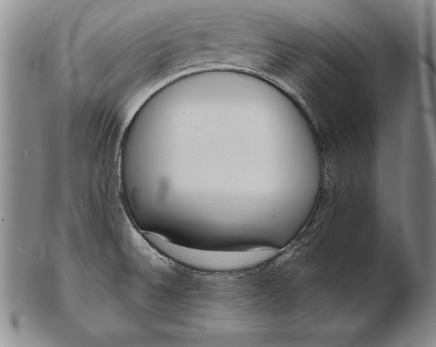 X0000102351524200808221642