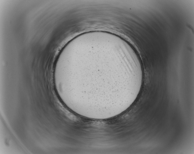 X0000102351525200808221642