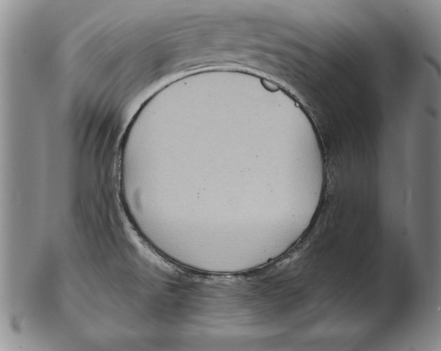 X0000102351526200808221642