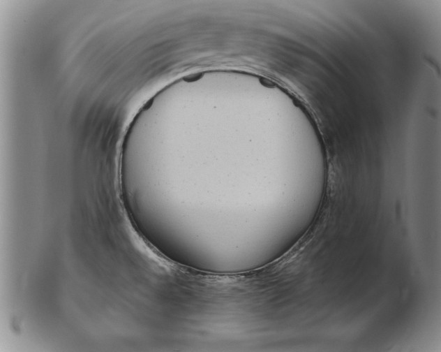 X0000102351528200808221642