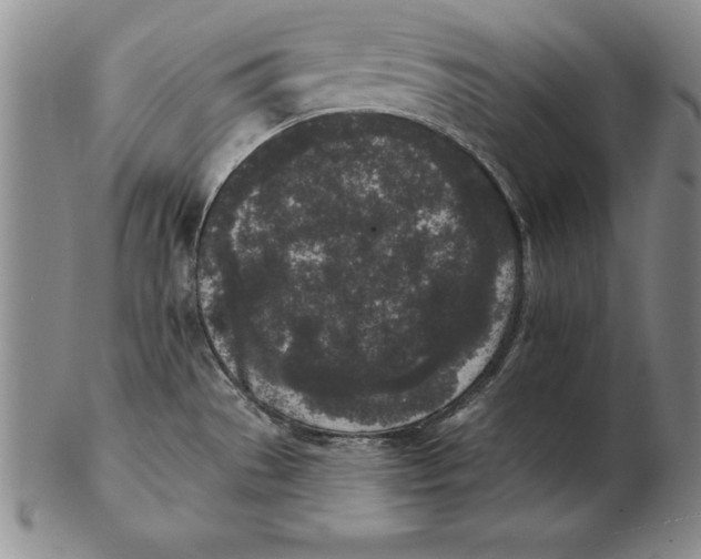 X0000102351529200808221642