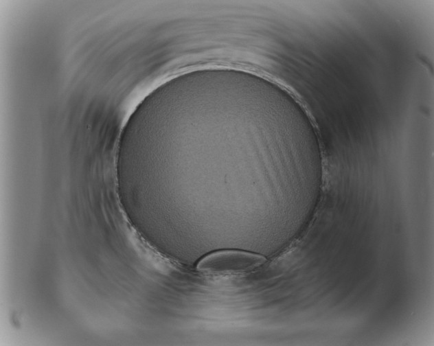 X0000102351530200808221642