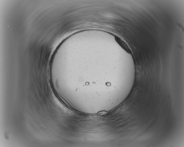 X0000102351531200808221642