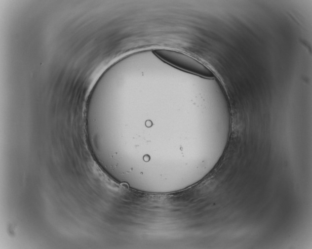 X0000102351532200808221642