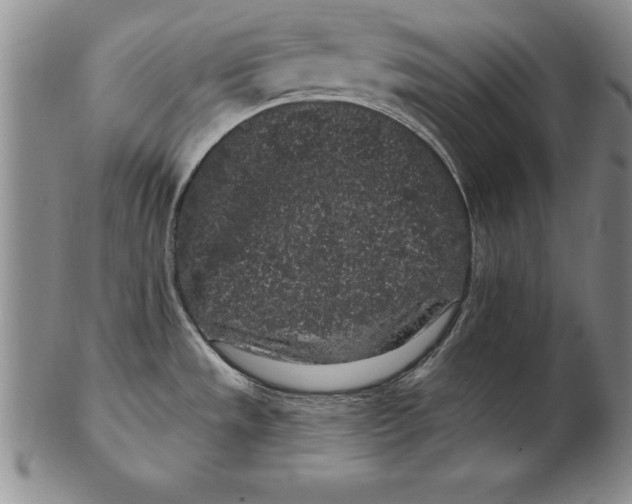 X0000102351533200808221642