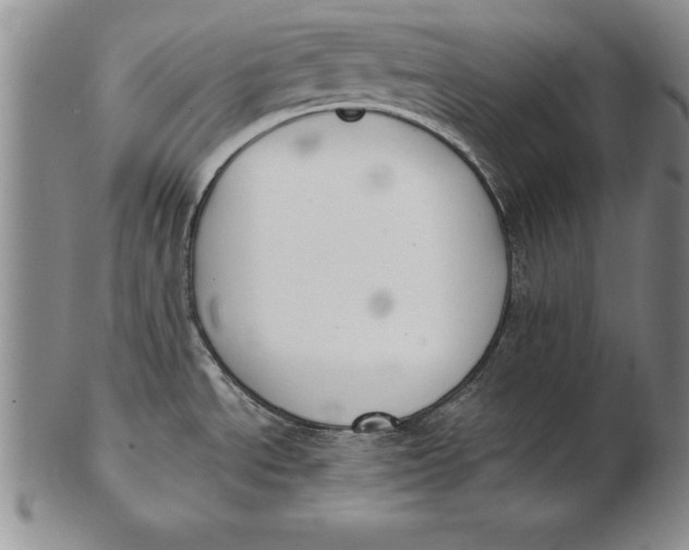 X0000102351534200808221642