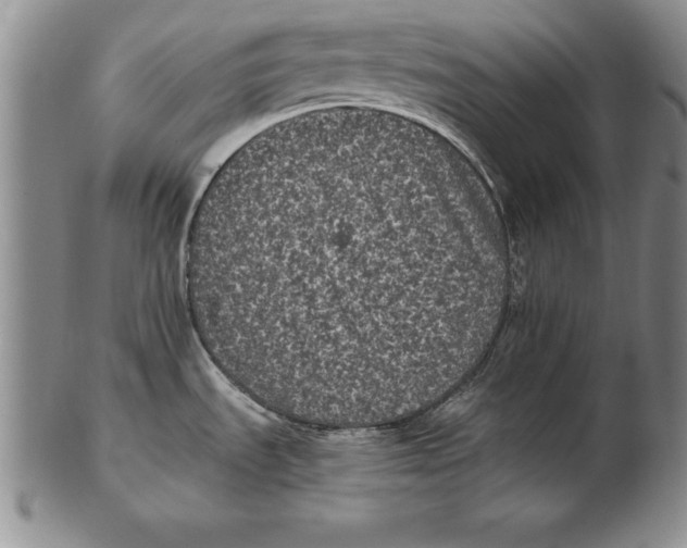 X0000102351535200808221642