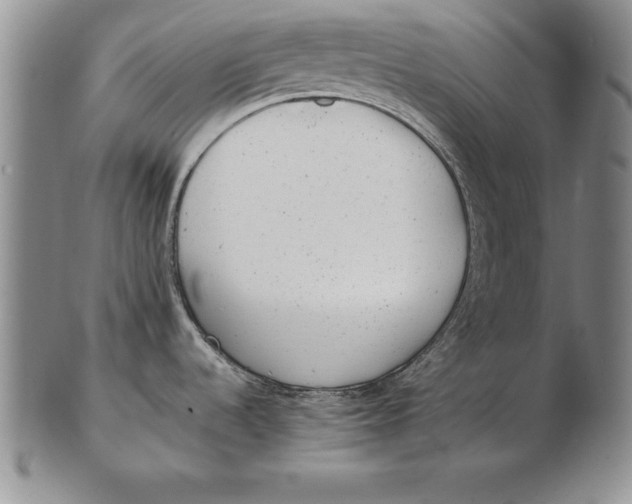 X0000102351536200808221642