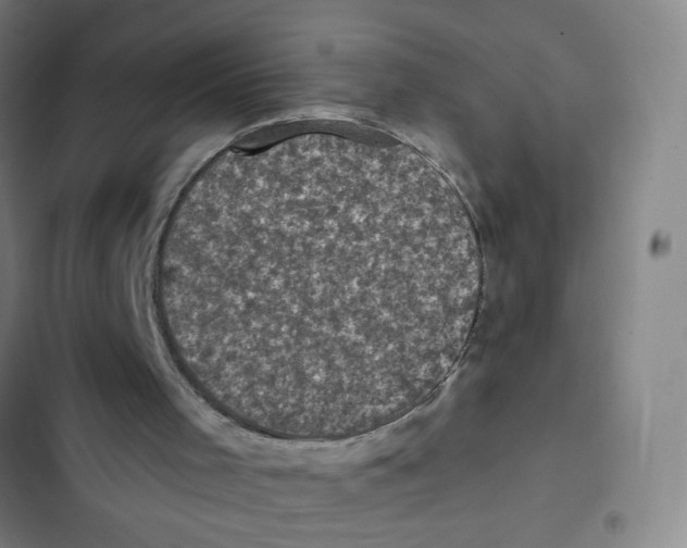 X0000102350001200808291212