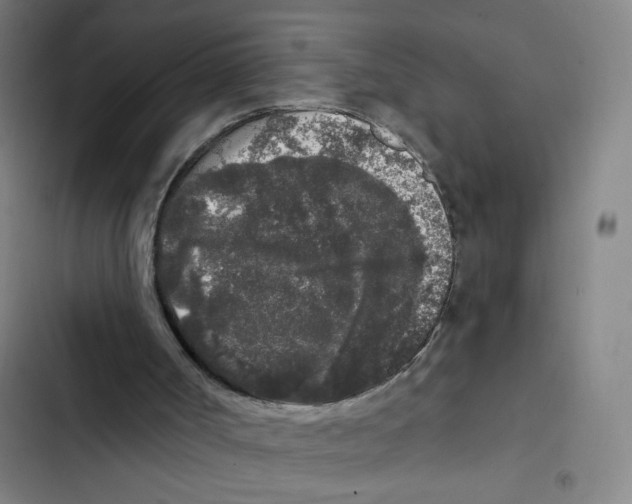 X0000102350002200808291212