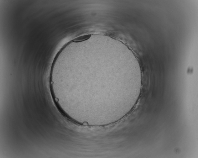 X0000102350003200808291212