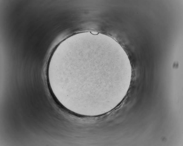 X0000102350004200808291212